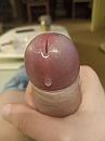 Drup, foto 600x800, 13 reacties, 20 stemmen