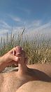 Duin, foto 1520x2688, 3 reacties, 15 stemmen