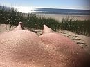Duinlandschap ;P, foto 1600x1200, 1 reacties, 6 stemmen
