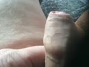 Eikel ontbloten, film 00:00:22, 5 reacties, 4 stemmen