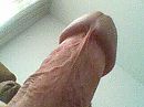 Eikel is weer dik..., foto 320x240, 9 reacties, 22 stemmen