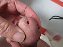 Eikel van kortbij 2, foto 2048x1536, 16 reacties, 23 stemmen