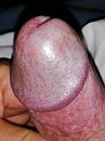 Eikel, foto 910x1215, 1 reacties, 2 stemmen
