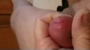Eikelmassage, film 00:00:24, 0 reacties, 3 stemmen