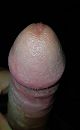Eikeltje, foto 2348x3805, 1 reacties, 4 stemmen