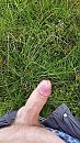 Eindelijk weer eens zon, foto 2250x4000, 0 reacties, 2 stemmen