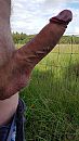 Eindelijk weer eens zon, foto 2250x4000, 2 reacties, 8 stemmen