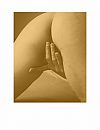 Else 2, foto 1000x1295, 1 reacties, 3 stemmen