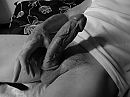 Esthetisch verantwoord Z/W, foto 4000x3000, 1 reacties, 12 stemmen