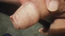 Even de eikel bloot, film 00:00:20, 31 reacties, 53 stemmen