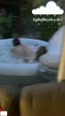 Even haar vaste sexvriend, film 00:00:00, 14 reacties, 134 stemmen