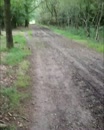 Even lekker wandelen...., film 00:00:09, 13 reacties, 57 stemmen