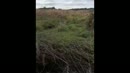 Even mijn 21cm uitlaten, film 00:00:13, 6 reacties, 35 stemmen