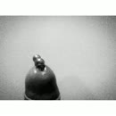 Even ontladen.., film 00:00:19, 6 reacties, 17 stemmen