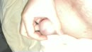 Even rondneuzen, film 00:00:16, 2 reacties, 17 stemmen