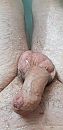 Even rust, foto 1944x4000, 0 reacties, 2 stemmen