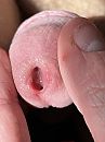 Exstreem close up., foto 3000x4000, 3 reacties, 7 stemmen