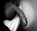 Favoriet, foto 1200x1033, 20 reacties, 36 stemmen