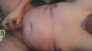 Feels so warm and horny, film 00:00:00, 6 reacties, 13 stemmen