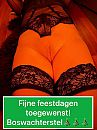 Fijne feestdagen!, foto 1536x2048, 10 reacties, 53 stemmen