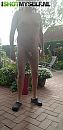 For 56sam, foto 267x550, 1 reacties, 8 stemmen