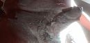 For Sandra and those who, foto 4000x1944, 3 reacties, 3 stemmen