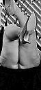 Fun, foto 1150x2458, 2 reacties, 27 stemmen