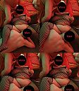 GB met Viorick 17dec21, foto 3460x4000, 1 reacties, 16 stemmen