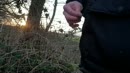 Ganieten in de natuur, film 00:00:00, 3 reacties, 18 stemmen