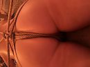 Gebonden, foto 640x480, 11 reacties, 49 stemmen