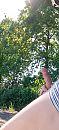 Geil, foto 1520x3296, 2 reacties, 3 stemmen