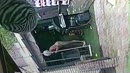 Gewoon in eigen tuin, film 00:00:07, 12 reacties, 68 stemmen