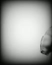 Gewoon lekker, film 00:00:00, 1 reacties, 14 stemmen