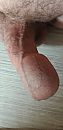 Gewoon, foto 1944x4000, 3 reacties, 4 stemmen