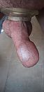 Goede morgen, foto 1944x4000, 2 reacties, 3 stemmen