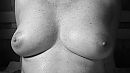 Goedemorgen, foto 4000x2250, 17 reacties, 82 stemmen