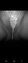 Goedemorgen, foto 1080x2400, 3 reacties, 23 stemmen