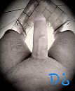 Goedemorgen, foto 3024x3662, 2 reacties, 7 stemmen