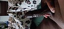Goedemorgen, foto 4000x1824, 3 reacties, 12 stemmen