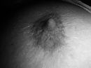 Goodmorning niple., foto 3088x2316, 7 reacties, 47 stemmen
