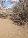GranCanaria 2021, foto 2448x3264, 1 reacties, 22 stemmen