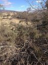 GranCanaria, foto 2448x3264, 9 reacties, 18 stemmen