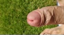Gras sproeien met sperma, film 00:00:26, 6 reacties, 19 stemmen