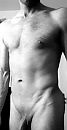 Grey, foto 1565x3010, 10 reacties, 31 stemmen