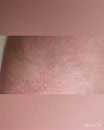 Grote verdwijntruc, film 00:00:00, 24 reacties, 82 stemmen