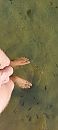 Guppies bekijken, foto 720x1600, 0 reacties, 4 stemmen