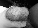 Hairy balls, foto 3264x2448, 3 reacties, 2 stemmen