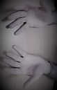 Handen, foto 1827x2881, 1 reacties, 4 stemmen