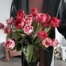 Happy Easter; lets rock!, film 00:00:23, 39 reacties, 266 stemmen