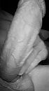 Hard harder hards...., foto 1060x1943, 5 reacties, 16 stemmen